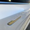 Tesla Model S P100DL
